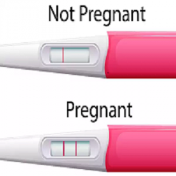 Pregnancy Test